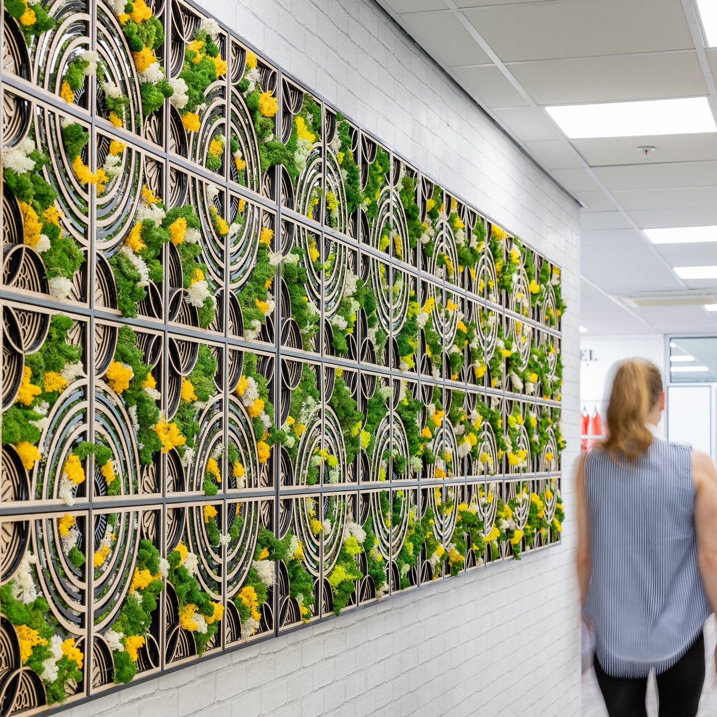 WALLS OF EDEN