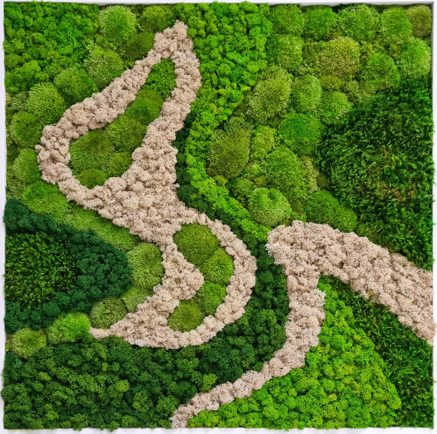 A handcrafted piece of moss wall art in a white wooden frame, featuring various shades of green and beige mosses with a sense of depth and dimension.