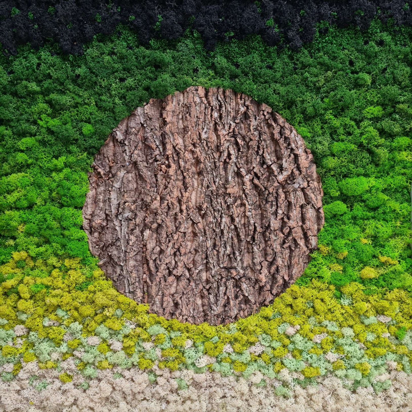 A piece of moss wall art featuring a central circular tree bartk, surrounded by a green and yellow moss bed.