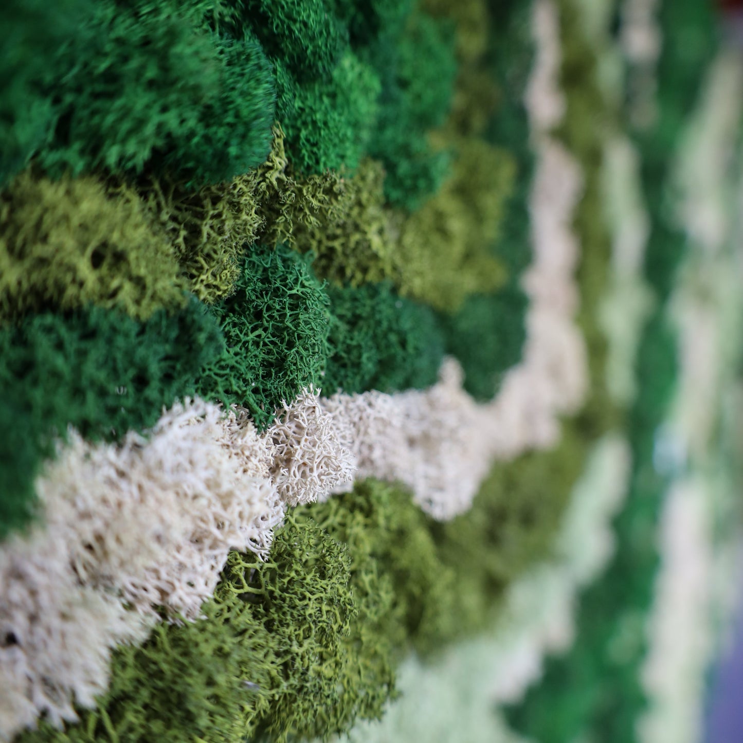 Close-up of a green and white patterned fabric