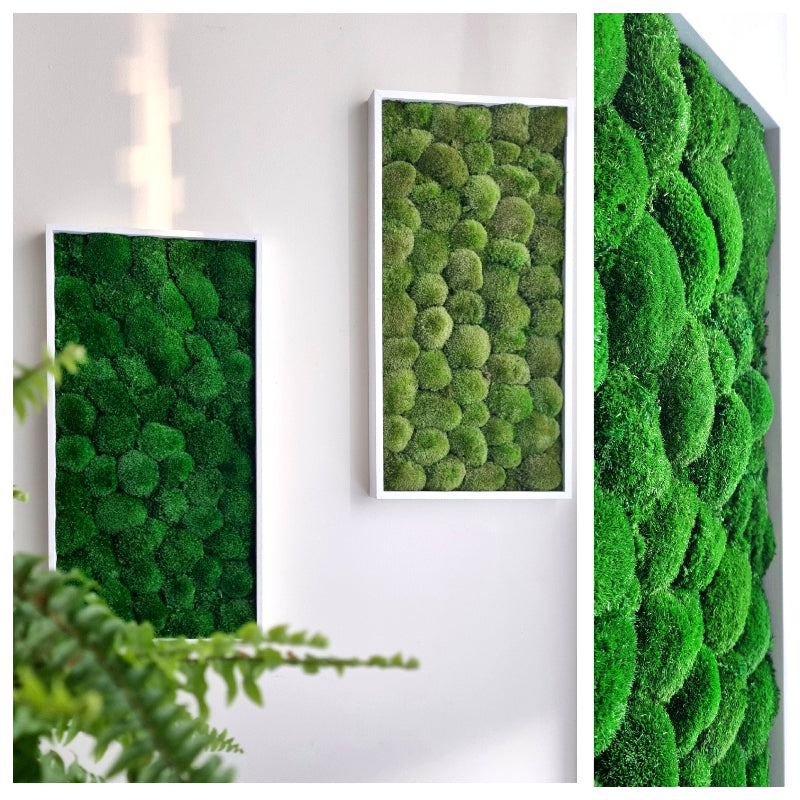 POLE MOSS FRAMES