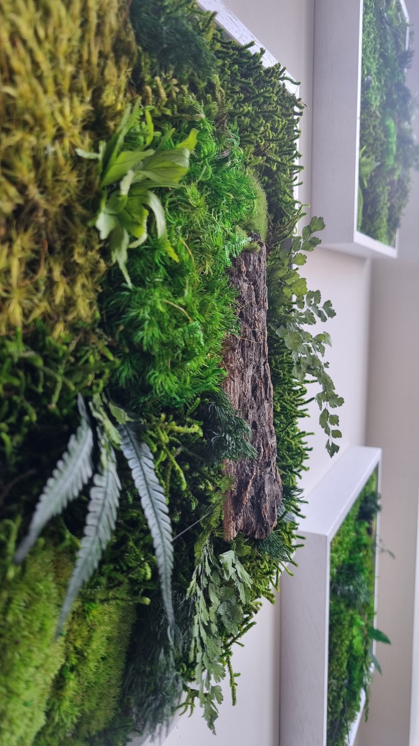 WOODLAND SANCTUARY 1
