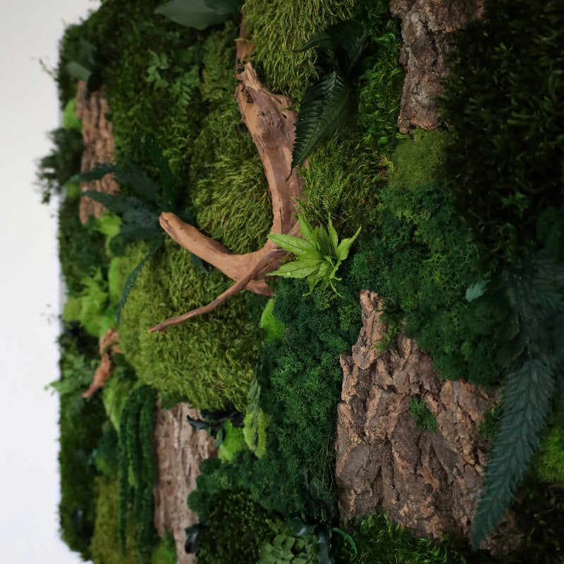 WOODLAND SANCTUARY 2