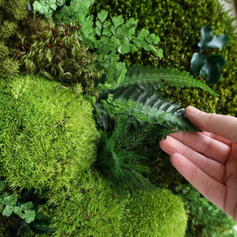 WOODLAND SANCTUARY 2
