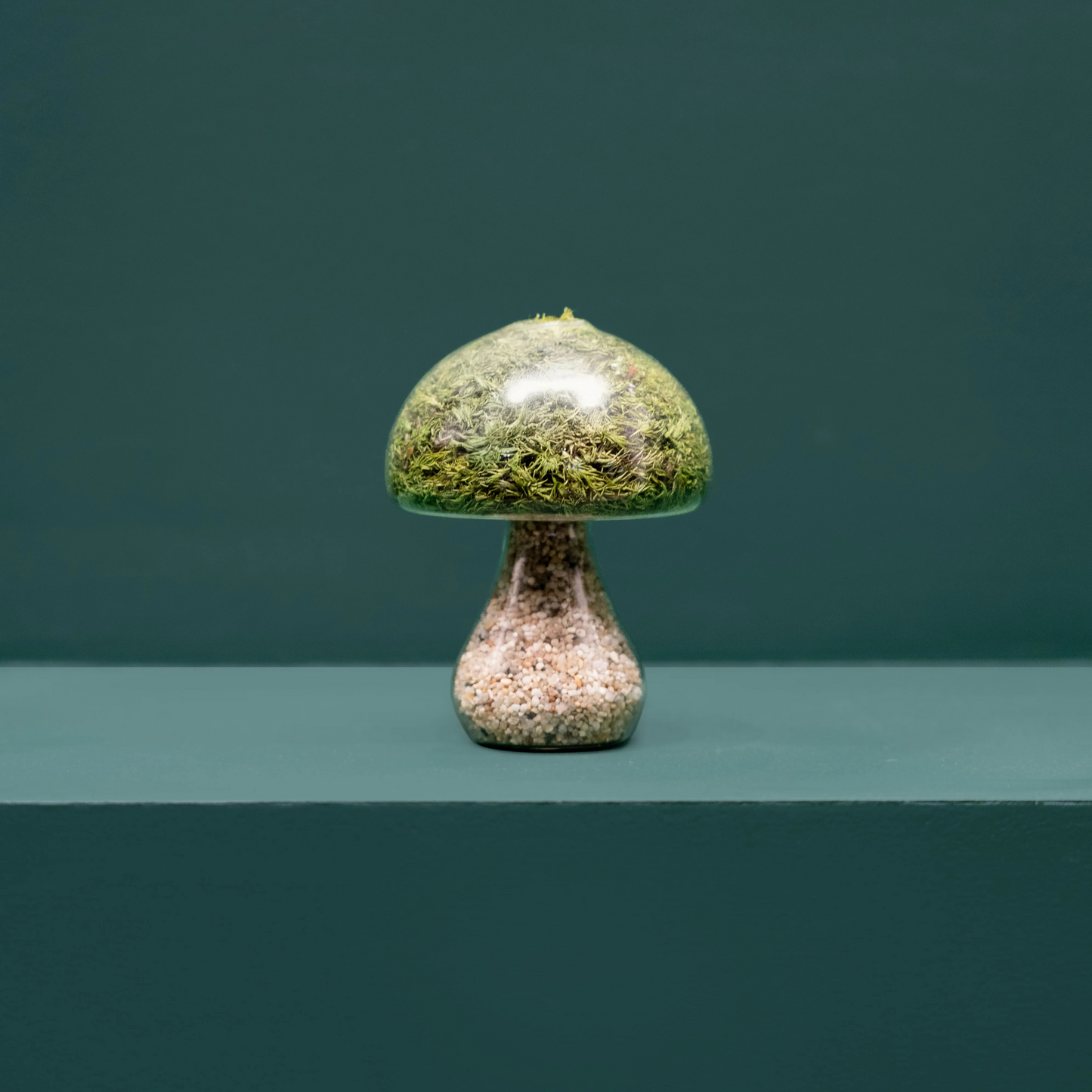 MOSS MUSHROOMS _ round light stones