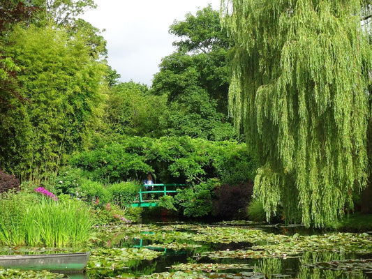 monet garden with bridge and willow
