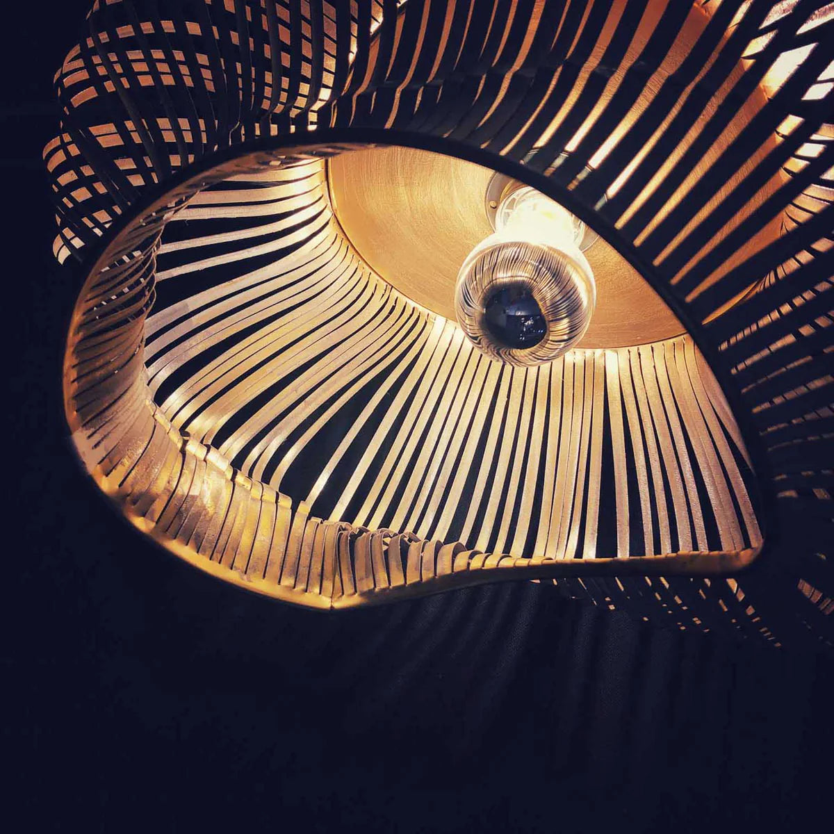 Fuga Ceiling Lamp