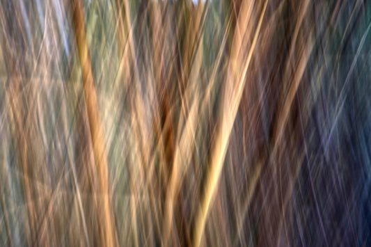 Copper Strands