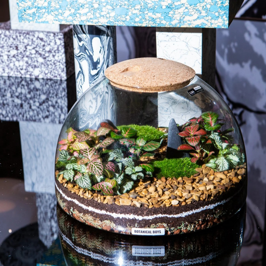 EDEN DOME _ Terrarium Kit