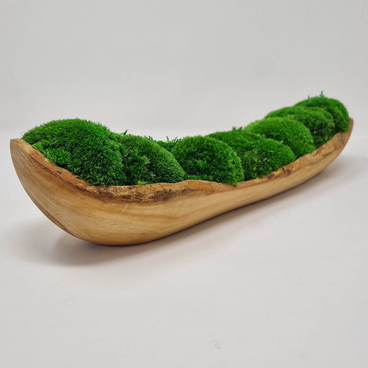 MOSS BOWLS