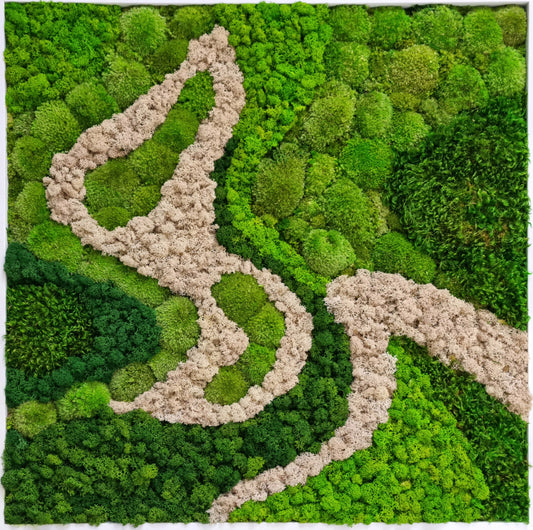A handcrafted piece of moss wall art in a white wooden frame, featuring various shades of green and beige mosses with a sense of depth and dimension.