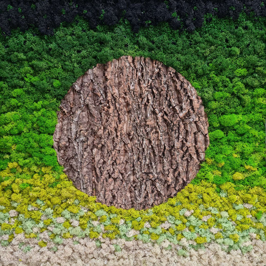 A piece of moss wall art featuring a central circular tree bartk, surrounded by a green and yellow moss bed.