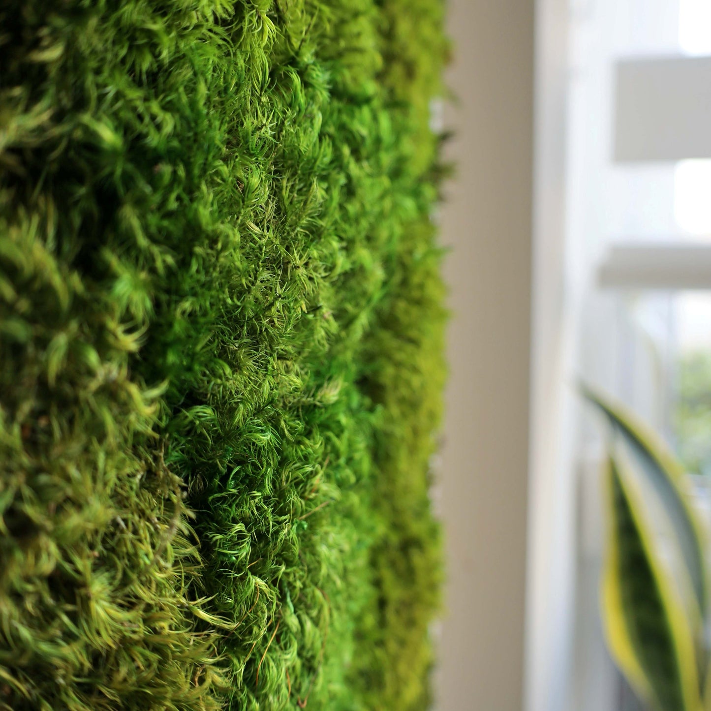 GREEN MUSINGS