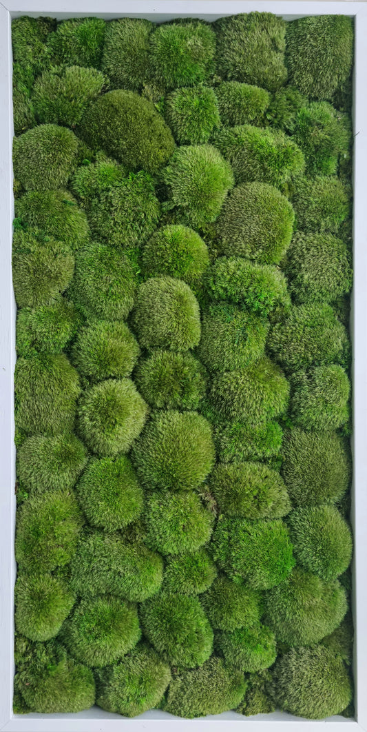A rectangular frame filled with preserved pole moss in two shades of green, arranged in a pattern to create a visually appealing design. The frame is mounted on a white background.
