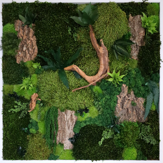 A handcrafted biophilic art piece featuring a variety of mosses, ferns, and organic elements, arranged to create a forest-like atmosphere.