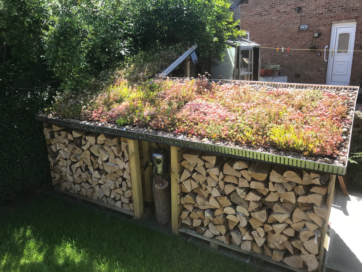Premium S-Pod green roofing tray