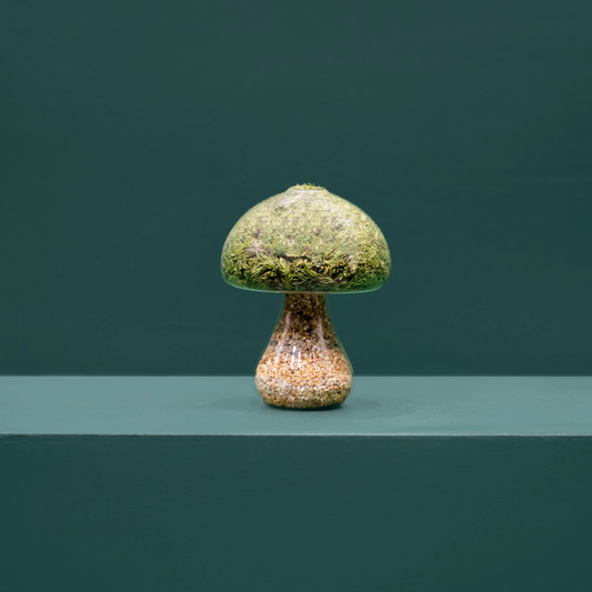 MOSS MUSHROOMS _ round natural stones