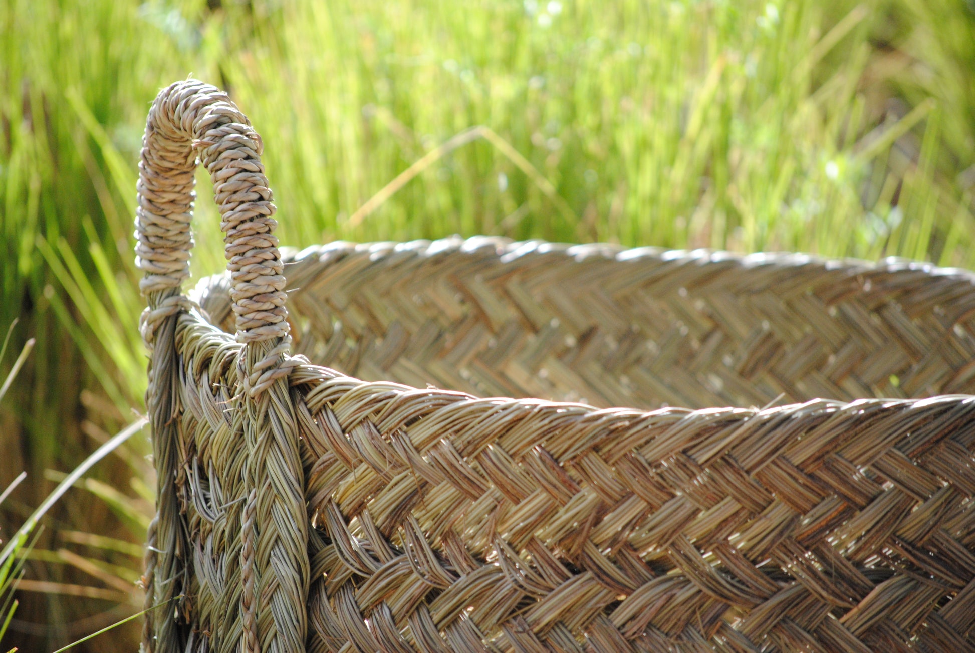 Close-up of a woven basket with a grassy background