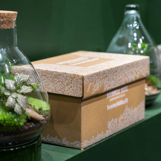 TERRARIUM KIT - small_no glass